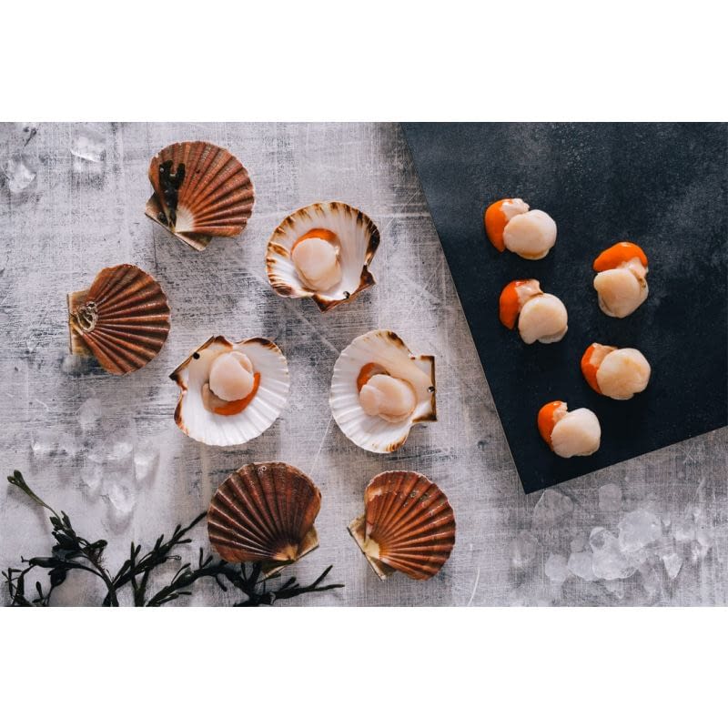 FROZEN WESTERN AUSTRALIA SCALLOP MEAT (200G) East Side Butchers